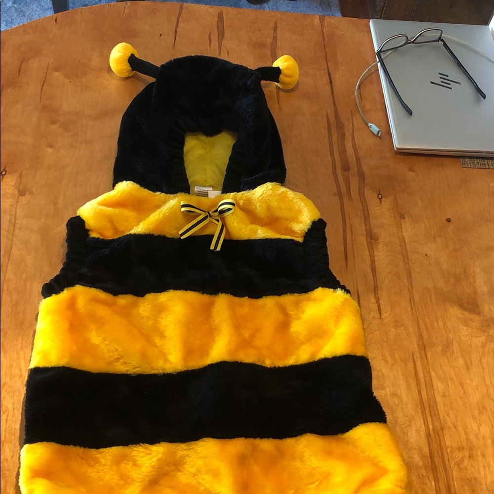 Yellow and Black Bee Costume